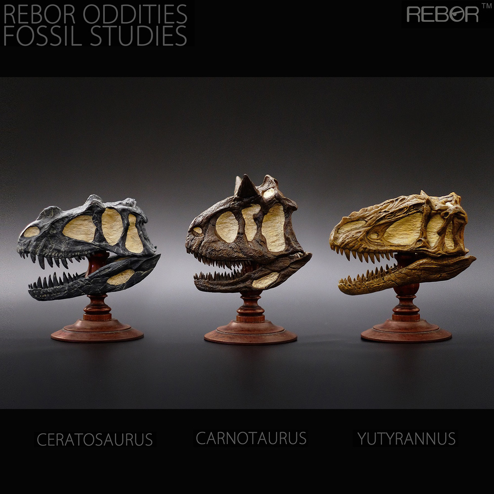 [리보/REBOR] 박물관시리즈 2. 공룡 두개골 화석 시리즈 / 유티라누스 케라토사우루스 카르노사우루스 / 공룡 피규어 장난감 모형